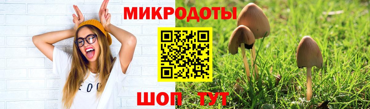 Галлюциногенные грибы GOLDEN TEACHER Бийск